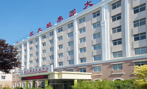 河南農(nóng)業(yè)大學酒店物業(yè)改造項目策劃1_副本.png